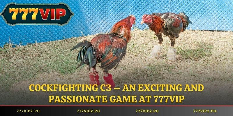 Cockfighting C3 – An Exciting and Passionate Game at 777VIP