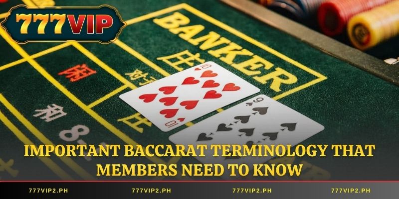 Important Baccarat terminology that members need to know