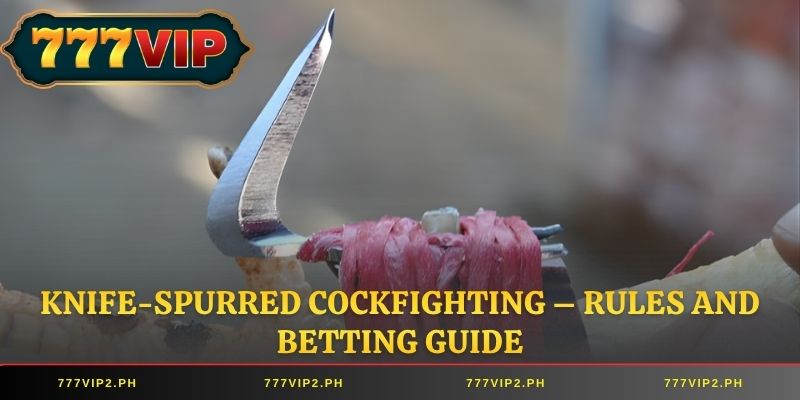 Knife-Spurred Cockfighting – Rules and Betting Guide