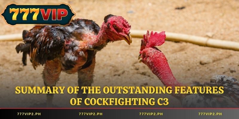 Summary of the outstanding features of Cockfighting C3