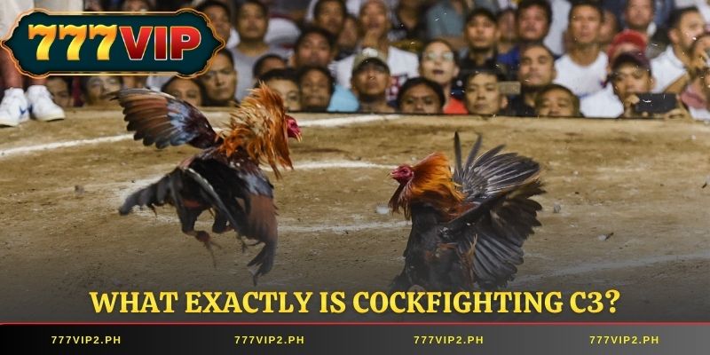 What exactly is Cockfighting C3?